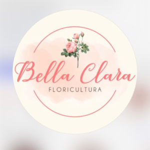 Design sem nome (14)
